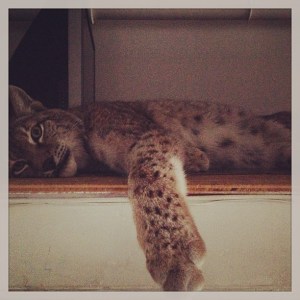 429006_10151311733706597_1327472749_n