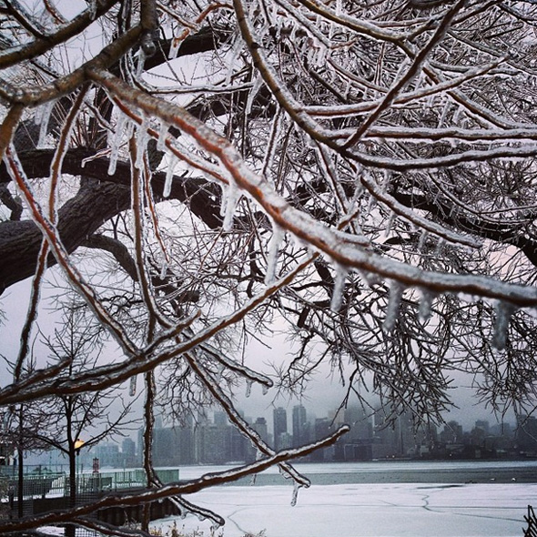 Toronto Ice Storm